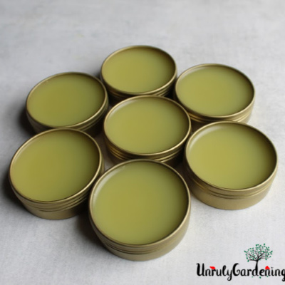 Seven finished tins of salve, arranged in a circle.
