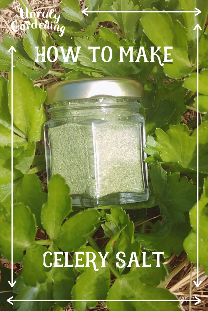 A pinterest pin of celery salt- a clear glass jar of finished celery salt in the middle of a celery plant- hay is visible in the corners.
