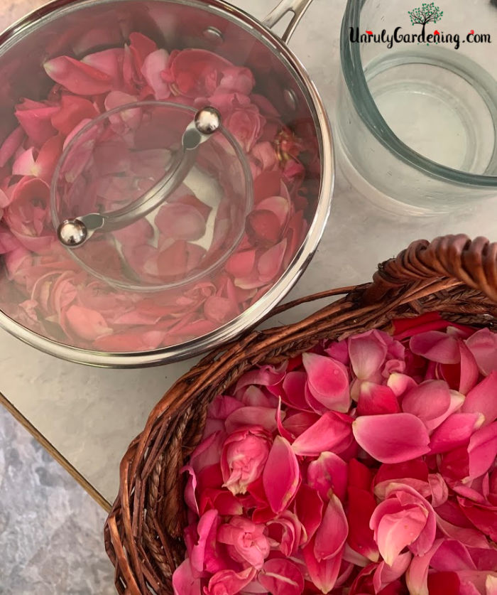 A metal pot full of rosepetals, water, and a single glass bowl. Over top rests a clear glass pot lid, placed upside down. A basket of rose petals sits in the bottom right, while a clear glass pitcher sits in the upper right.