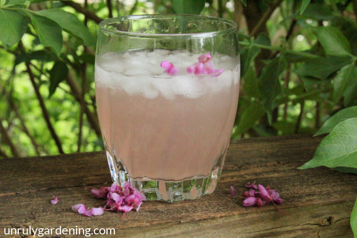 Image of a glass of faintly pink lemonade with ice floating near the top. Inside the glass, a few pink flowers can be seen. At the base of the glass, there are some scattered redbud flowers.