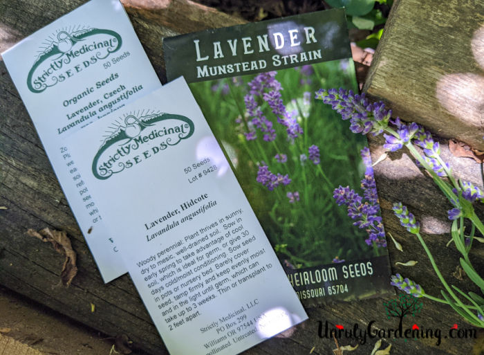 packets of lavender seeds