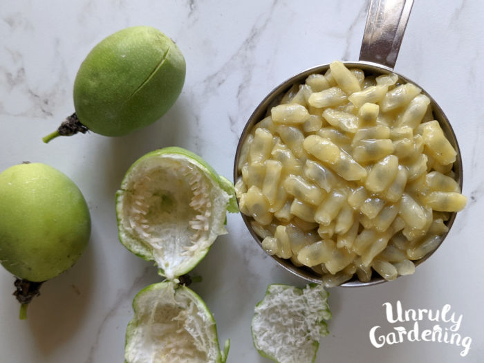 cup of maypop fruit pulp, ready to use or freeze