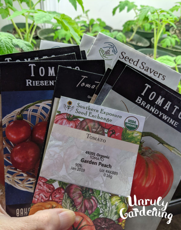 collection of heirloom tomato seed packets