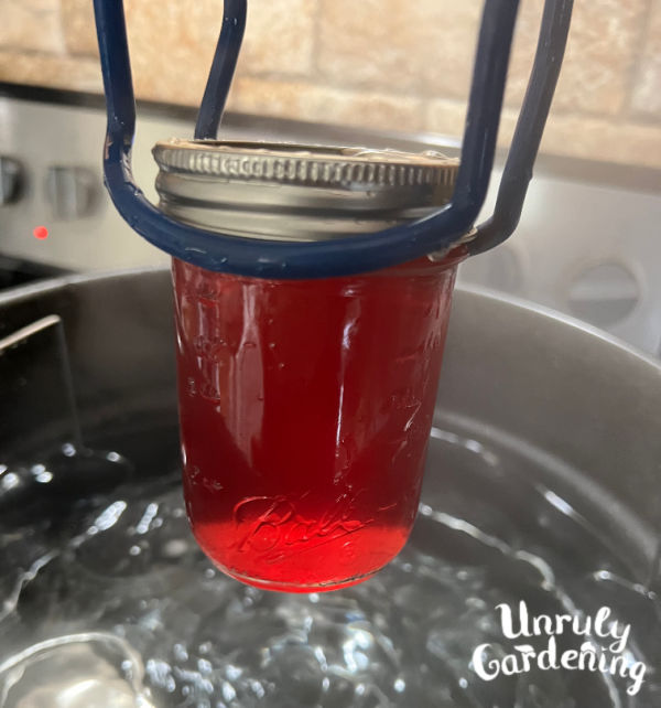 lifting redbed jelly from water bath