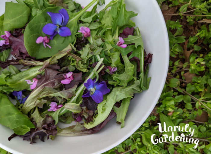 bowl of spring salad topped with fresh violet and redbud flowers