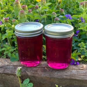 jars of violet jelly
