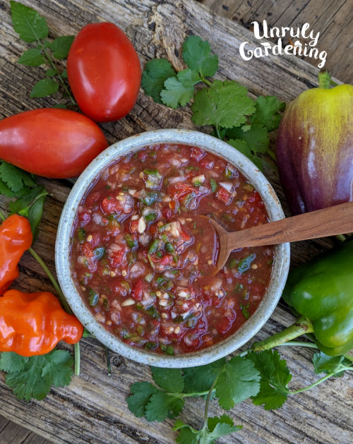 a bowl of salsa surrounded by fresh tomatoes, peppers, and cilantro