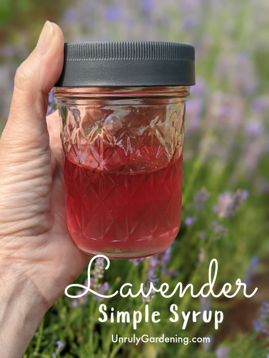 woman's hand holding a jar of lavender syrup