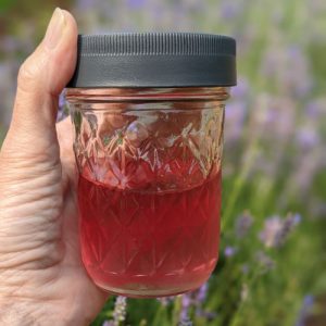 jar of lavender simple syrup WPRM