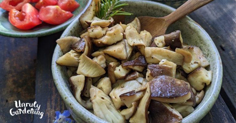 Garlic Butter Shiitake Mushrooms Recipe