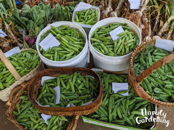 various kinds of garden peas