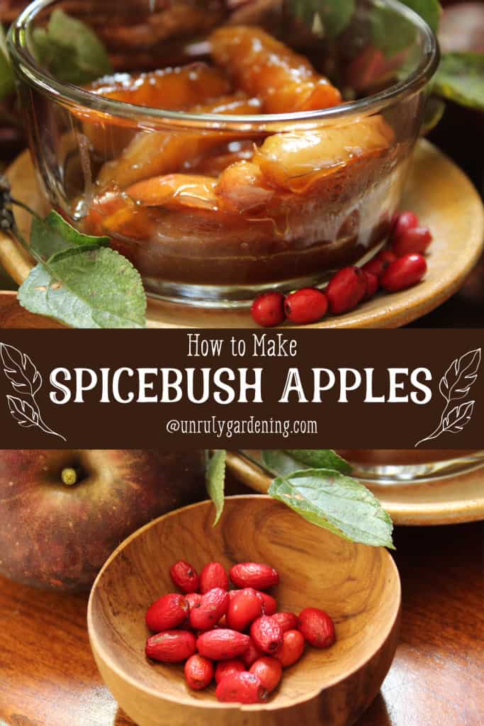 bowl of apples and spicebush berries